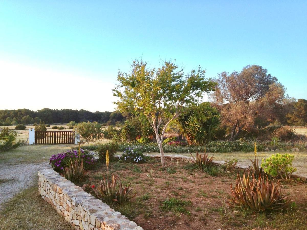 Ses Oliveres Cala Saona