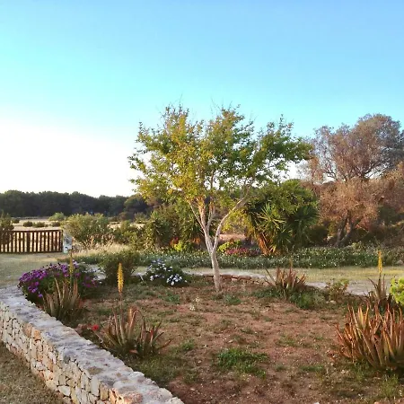 Ses Oliveres Cala Saona Exterior foto