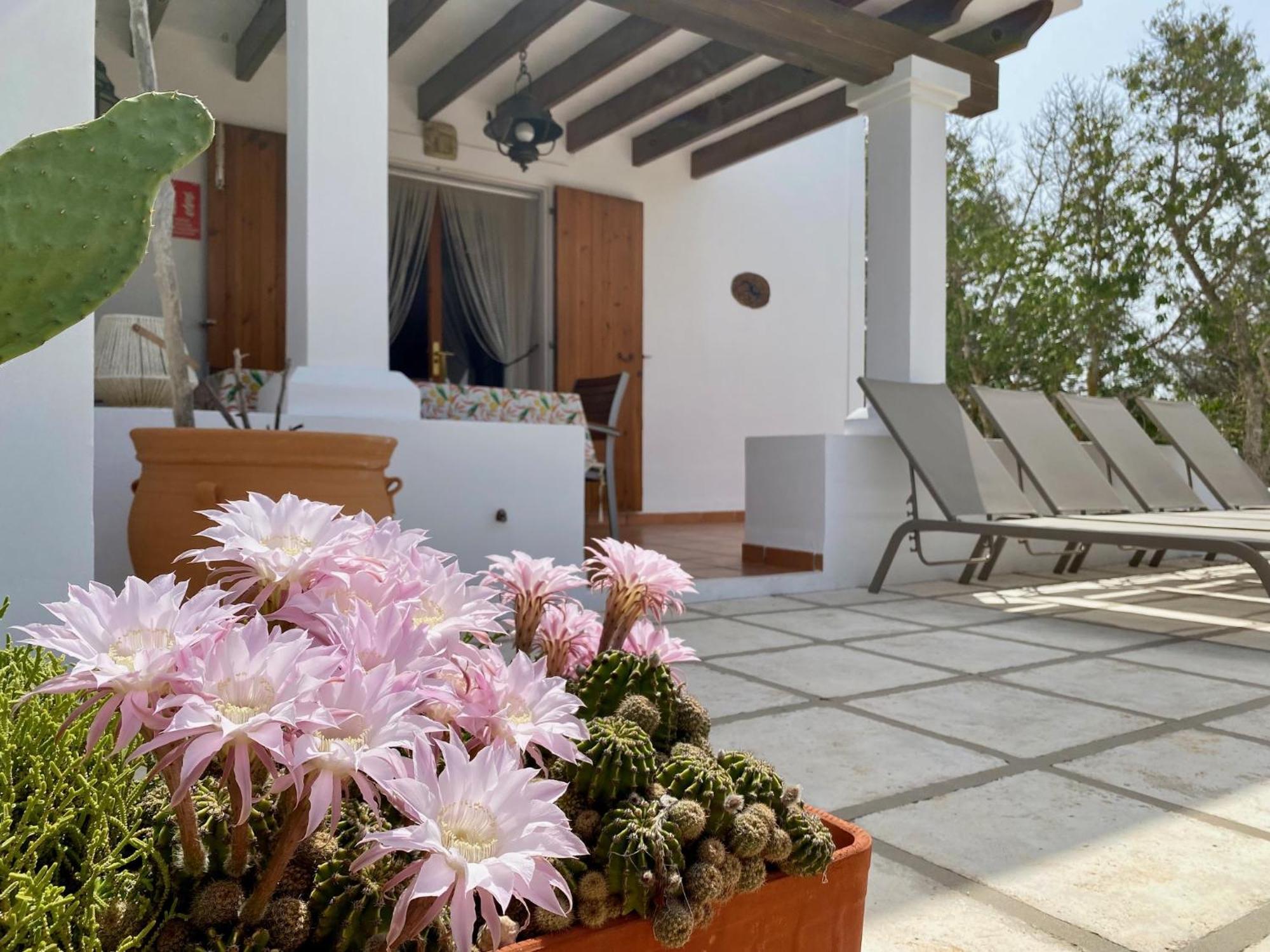 Holiday home Ses Oliveres *