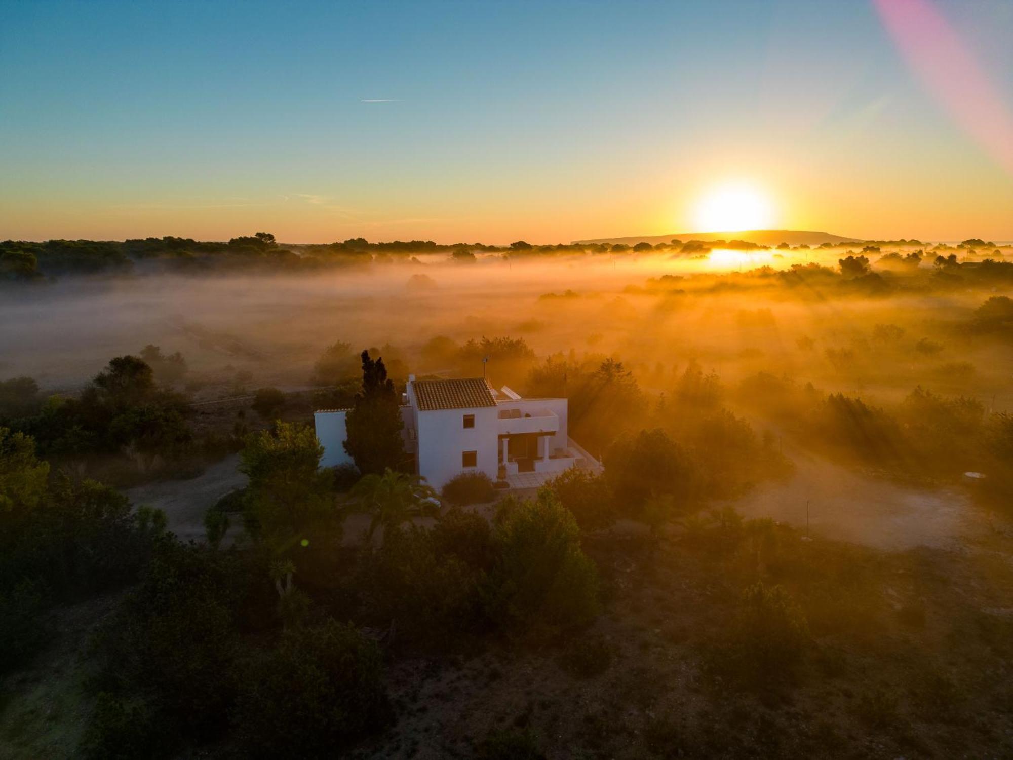 Holiday home Ses Oliveres