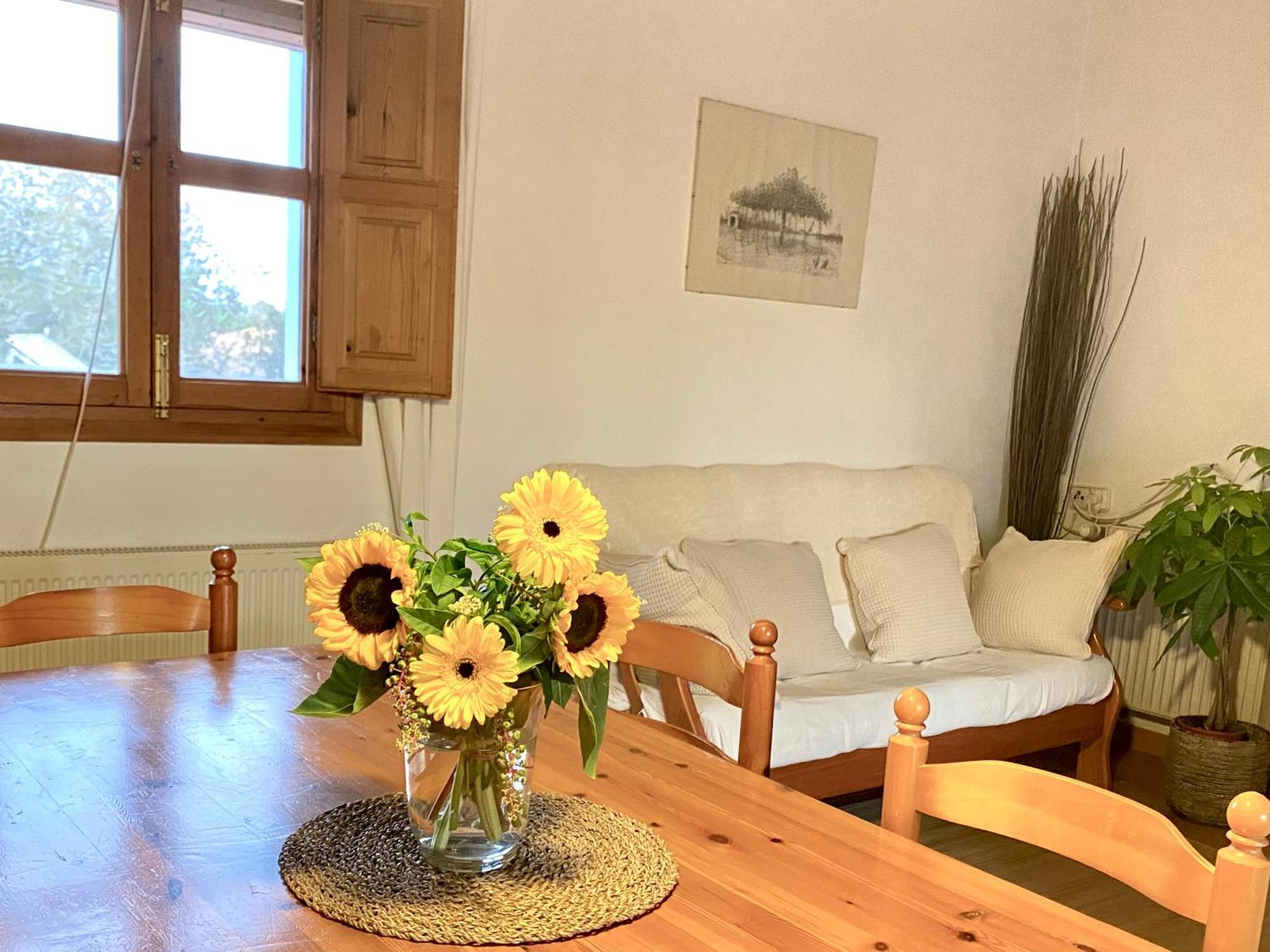 Ses Oliveres Holiday home *